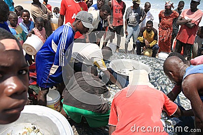 Sharing fish after a communal fishing in Africa Editorial Stock Photo