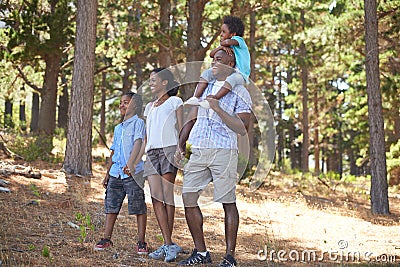 Sharing their passion for nature...ana frican american family enjoying a hike in the woods together. Stock Photo