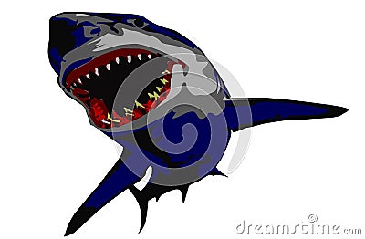 Shark Stock Photo