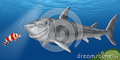 Shark Stock Photo