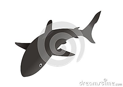 Shark Stock Photo