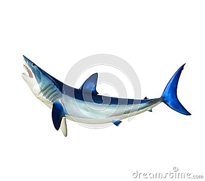 Shark Stock Photo