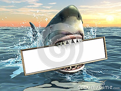 Shark advertising Cartoon Illustration