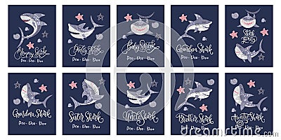 Shark animal vector card. Vector Illustration