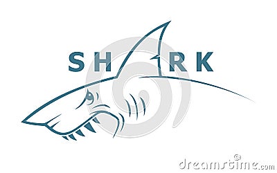 Shark banner Vector Illustration