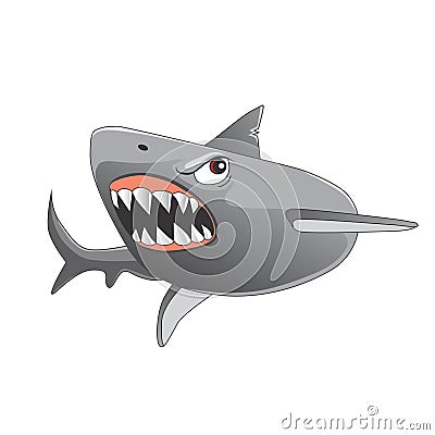 Shark cartoon Vector Illustration