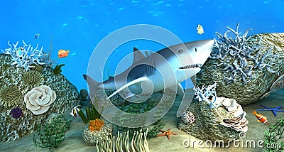 Shark among coral reefs Stock Photo