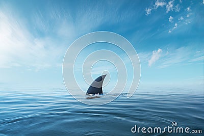 Shark fin on surface of ocean agains blue cloudy sky Stock Photo