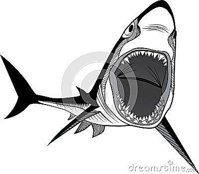 Shark fish head Vector Illustration