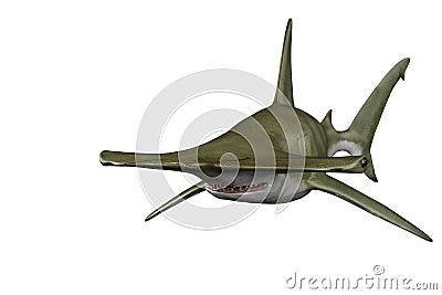 Shark hammerhead in white background Stock Photo