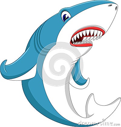 Shark Vector Illustration