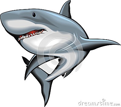 Shark isolated on the white background Vector Illustration