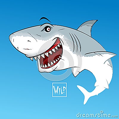 Shark with open mouth. Wild calligraphy sign Vector Illustration