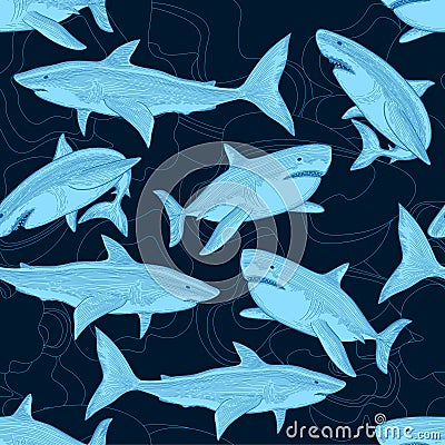 Shark pattern. Nautical ocean sea scare big fish animal tropical seamless background Vector Illustration