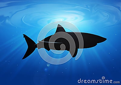 Shark silhouette Cartoon Illustration