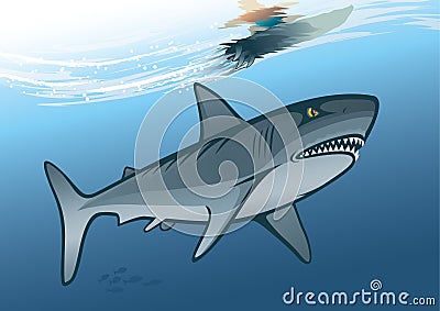 Shark and surfer riding on water wave Vector Illustration