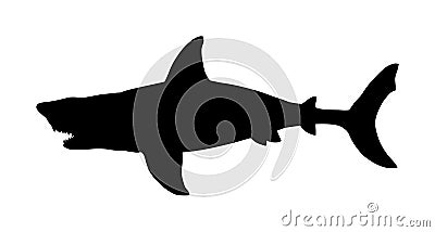 Shark vector silhouette illustration isolated on white background. Cartoon Illustration