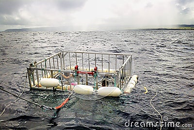 Shark Viewing Cage in Oahu Waters Editorial Stock Photo