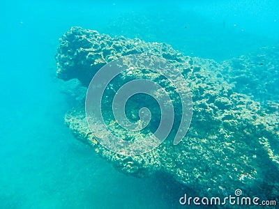 Sharks cove snorkeling in oahu hawaii north shore Stock Photo