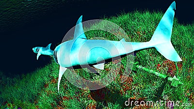 Sharks on reef Stock Photo