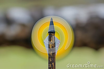 sharp broadhead arrow tip with a blurry yellow target center Stock Photo