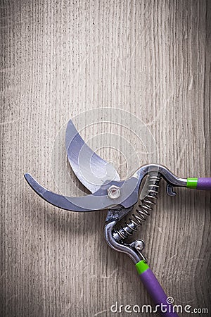 Sharp stainless pruning shears on wooden background agriculture Stock Photo