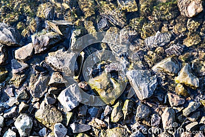 Sharp stones in the water by Stock Photo