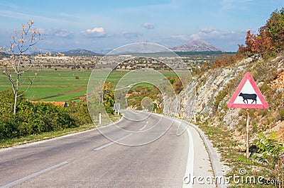 Sharp turn of the road with warning road sign, cattle-related. Bosnia and Herzegovina. Beautiful autumn landscape Stock Photo