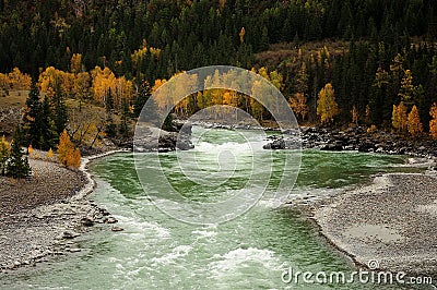 Sharp turns of a small turquoise mountain river flowing through a canyon in the mountains overgrown with autumn coniferous forest Stock Photo