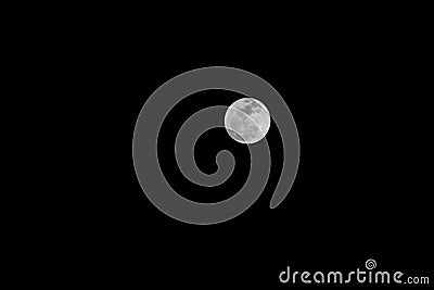 Sharp Wolf Moon Stock Photo