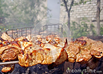 Shashlik Stock Photo