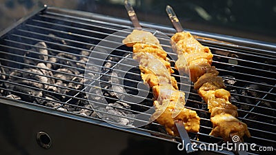 Shashlik - traditional Georgian barbecue. Stock Photo