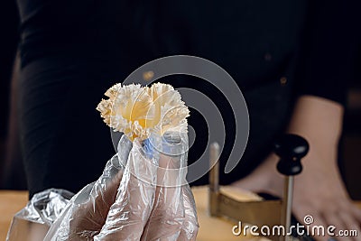 Shaving tete de moine cheese using girolle knife. Monks head. Variety of Swiss semi-hard cheese made from cows milk Stock Photo