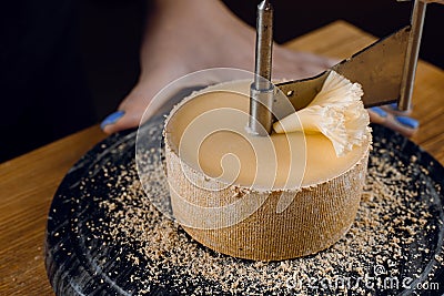 Shaving tete de moine cheese using girolle knife. Monks head. Variety of Swiss semi-hard cheese made from cows milk Stock Photo