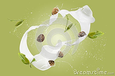 Shea Butter nuts and leave, with splash cream Stock Photo