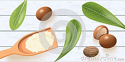 Shea nuts, leaves on white wooden shabby desk. shea butter on wooden spoon. shi tree pods Stock Photo