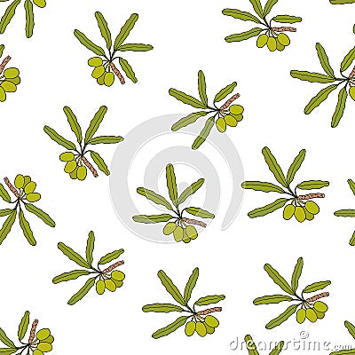 Shea tree branches seamless pattern Vector Illustration