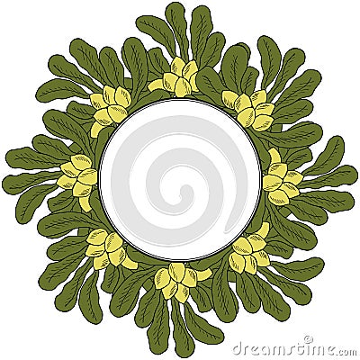 Shea tree, liner, in color, round frame 2 Vector Illustration