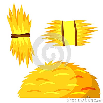 Sheaf of hay. Village harvest. Set of Stack of wheat ears. Yellow dried plants. Production of natural food on farm Vector Illustration