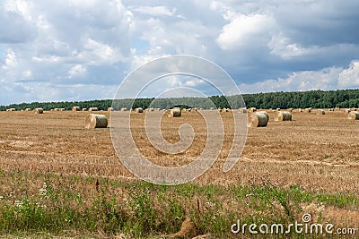 Sheaf of straw in the field nobody Stock Photo