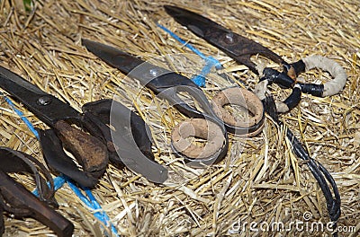 Shearing scisors with cork protection for fingers Stock Photo