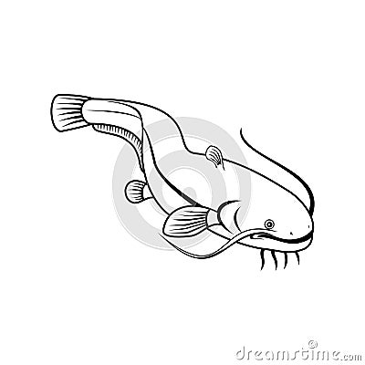 Sheatfish or Wels Catfish Swimming Down Retro Black and White Vector Illustration