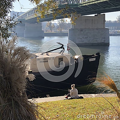 Sheaves of grass on the background of the Danube in Slovakia in Bratislava Editorial Stock Photo