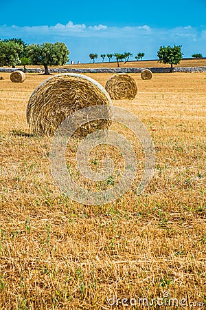 Sheaves of straw, Apulia region Stock Photo