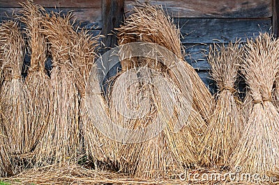 Sheaves of wheat Stock Photo