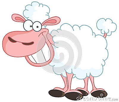 Sheep Vector Illustration