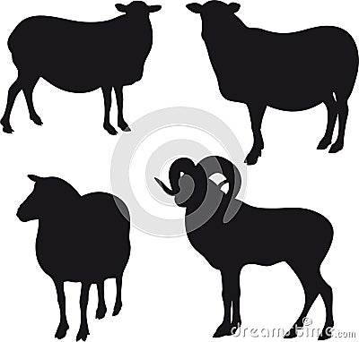 Sheep Vector Illustration