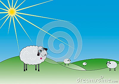 Sheep Vector Illustration