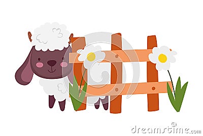 Sheep bovine fence flowers farm animal cartoon Vector Illustration
