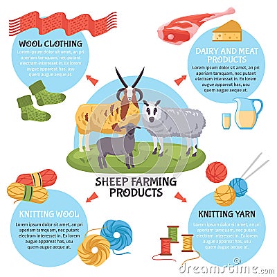 Sheep Breeding Infographics Vector Illustration